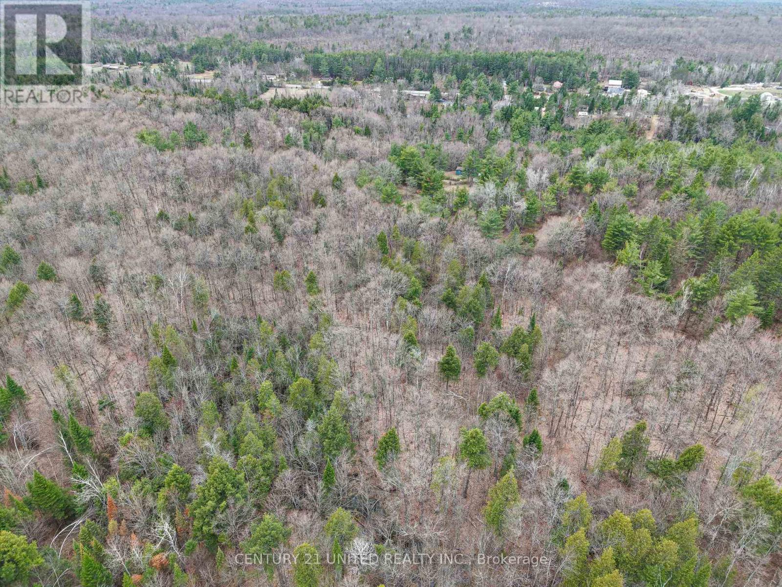 9559 Hwy 28, North Kawartha, Ontario  K0L 1A0 - Photo 8 - X13054270