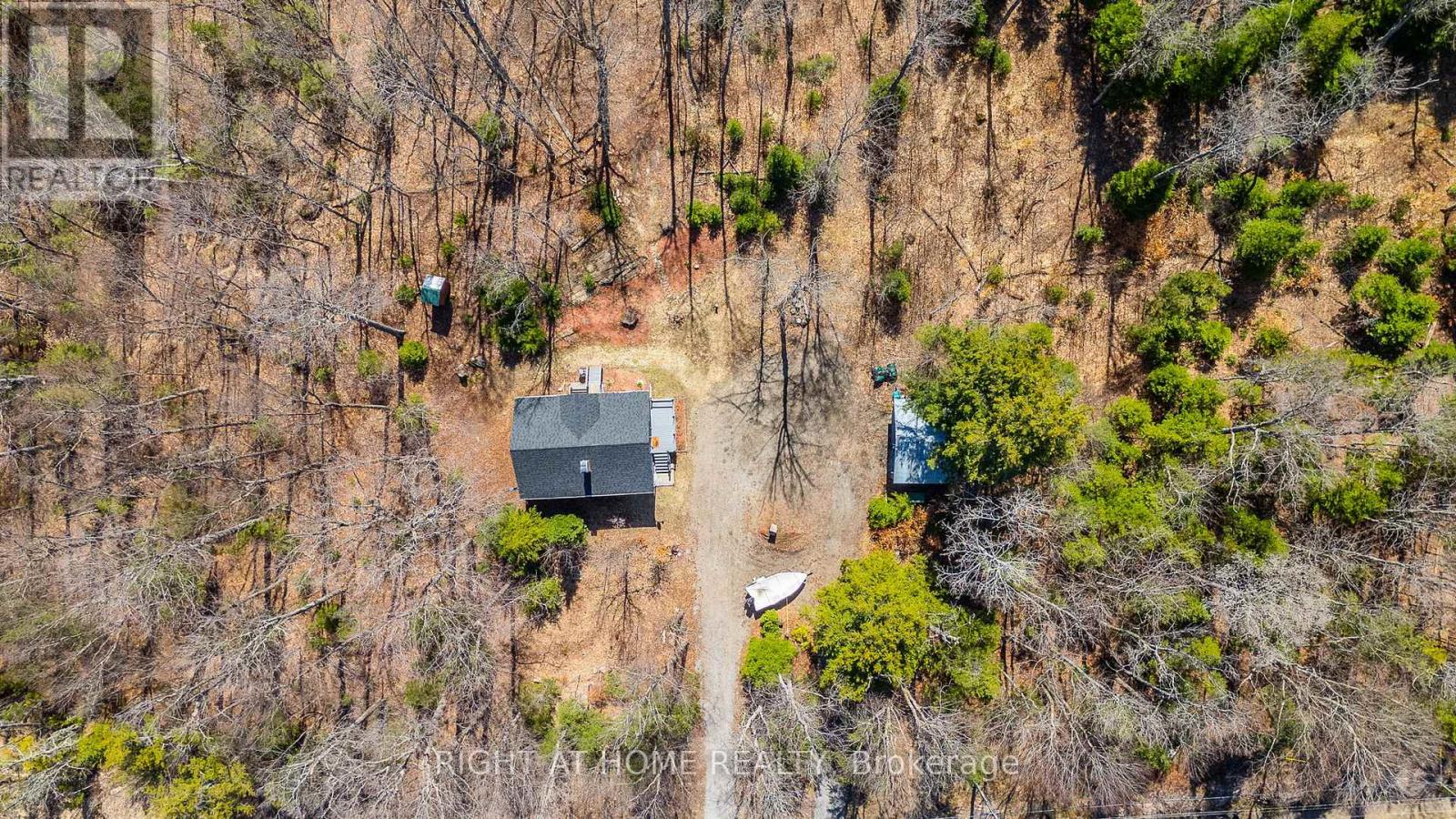 1066 Loop Road, Highlands East (Monmouth), Ontario  K0L 1C0 - Photo 10 - X13054550