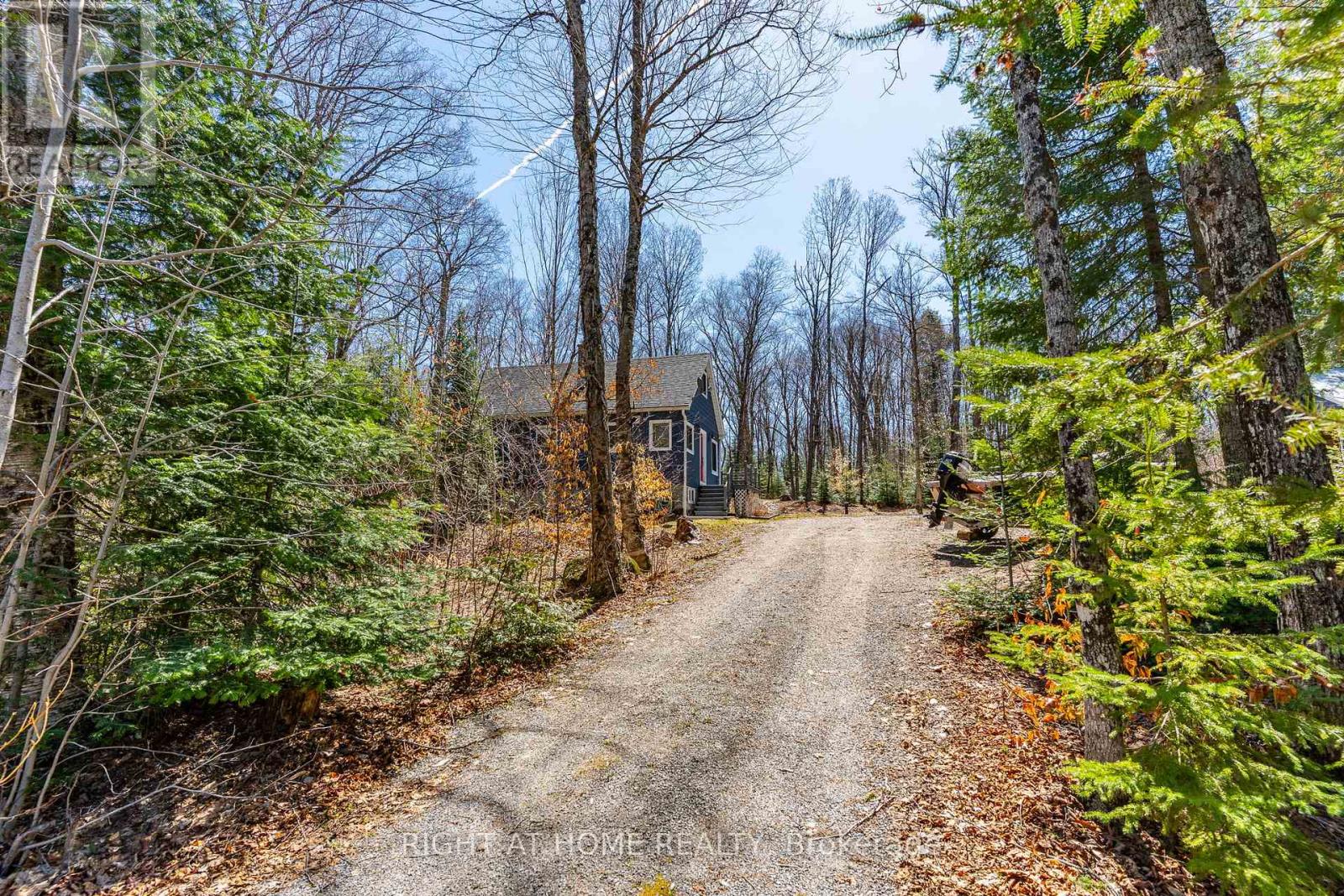 1066 Loop Road, Highlands East (Monmouth), Ontario  K0L 1C0 - Photo 12 - X13054550