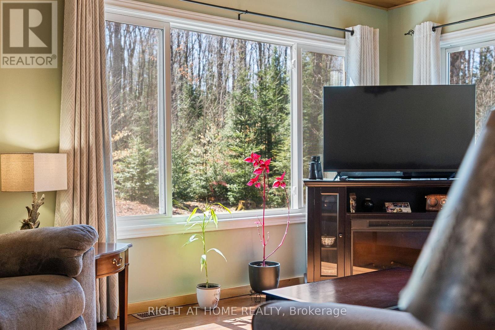 1066 Loop Road, Highlands East (Monmouth), Ontario  K0L 1C0 - Photo 23 - X13054550