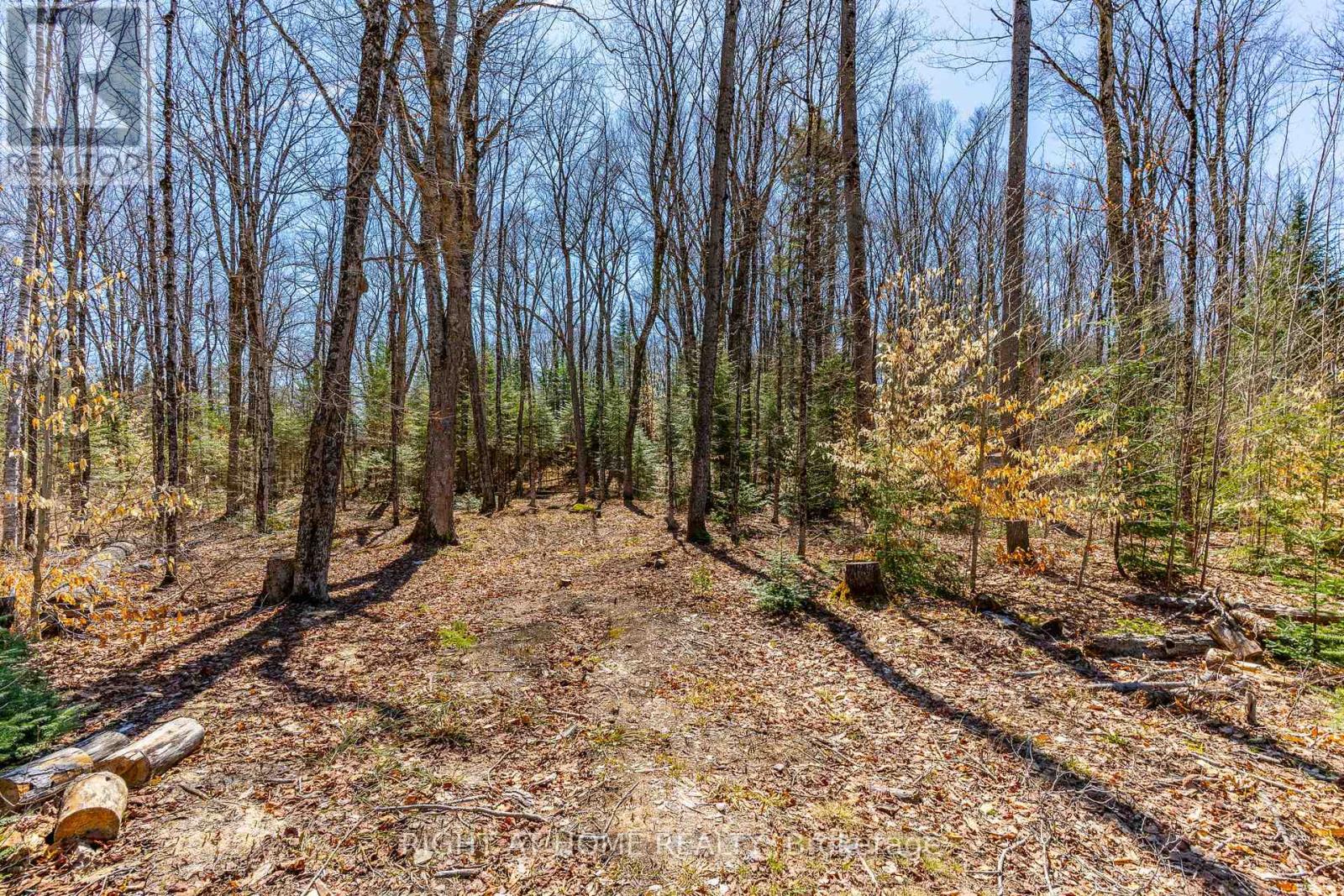 1066 Loop Road, Highlands East (Monmouth), Ontario  K0L 1C0 - Photo 6 - X13054550