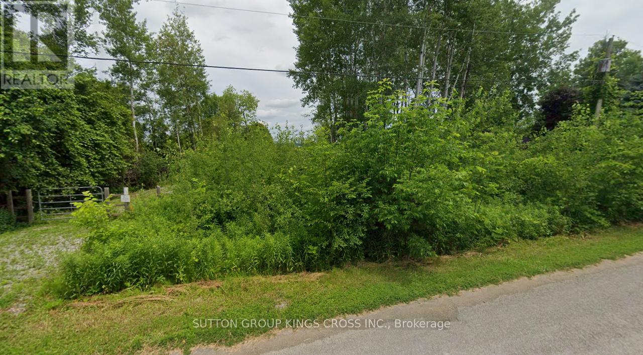 Lt 14 Charlore Park Drive, Kawartha Lakes (Emily), Ontario  K0L 2W0 - Photo 3 - X13054964