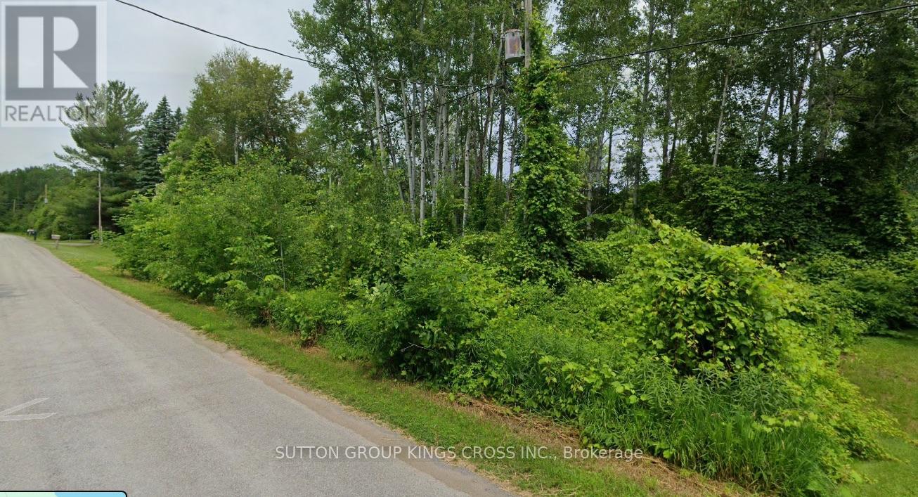 Lt 14 Charlore Park Drive, Kawartha Lakes (Emily), Ontario  K0L 2W0 - Photo 4 - X13054964