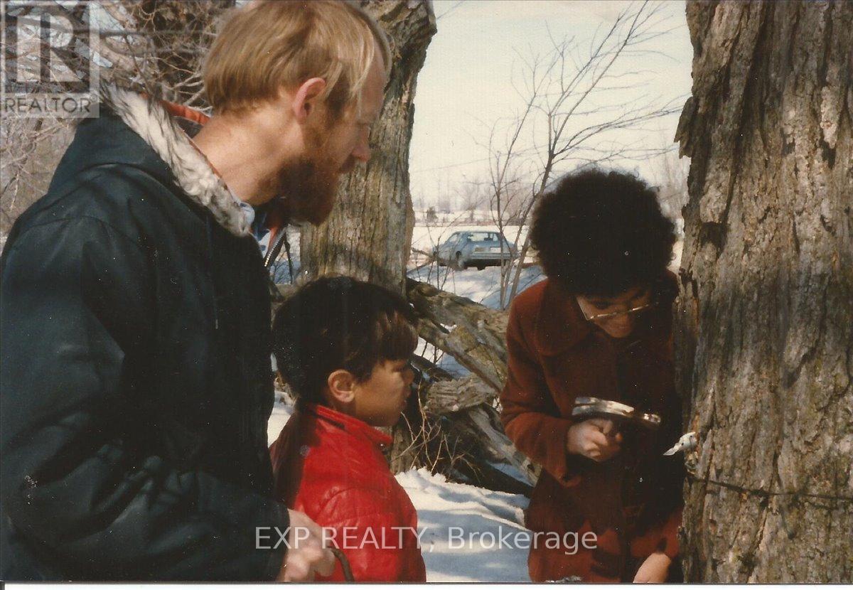 3749 Wallace Point Road, Otonabee-South Monaghan, Ontario  K9J 6Y3 - Photo 33 - X13056164