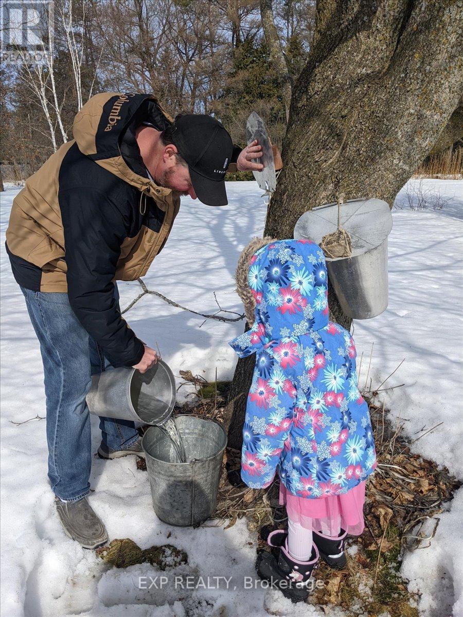 3749 Wallace Point Road, Otonabee-South Monaghan, Ontario  K9J 6Y3 - Photo 34 - X13056164