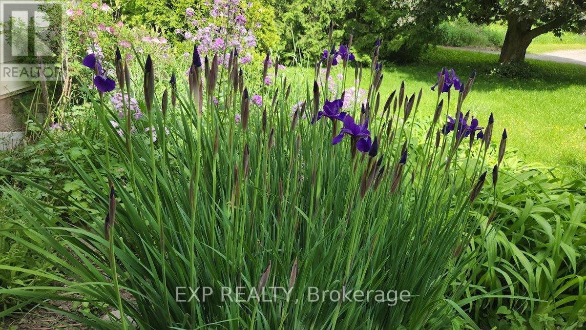 3749 Wallace Point Road, Otonabee-South Monaghan, Ontario  K9J 6Y3 - Photo 36 - X13056164