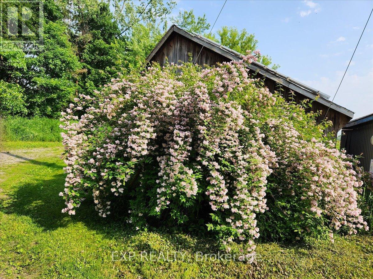 3749 Wallace Point Road, Otonabee-South Monaghan, Ontario  K9J 6Y3 - Photo 37 - X13056164