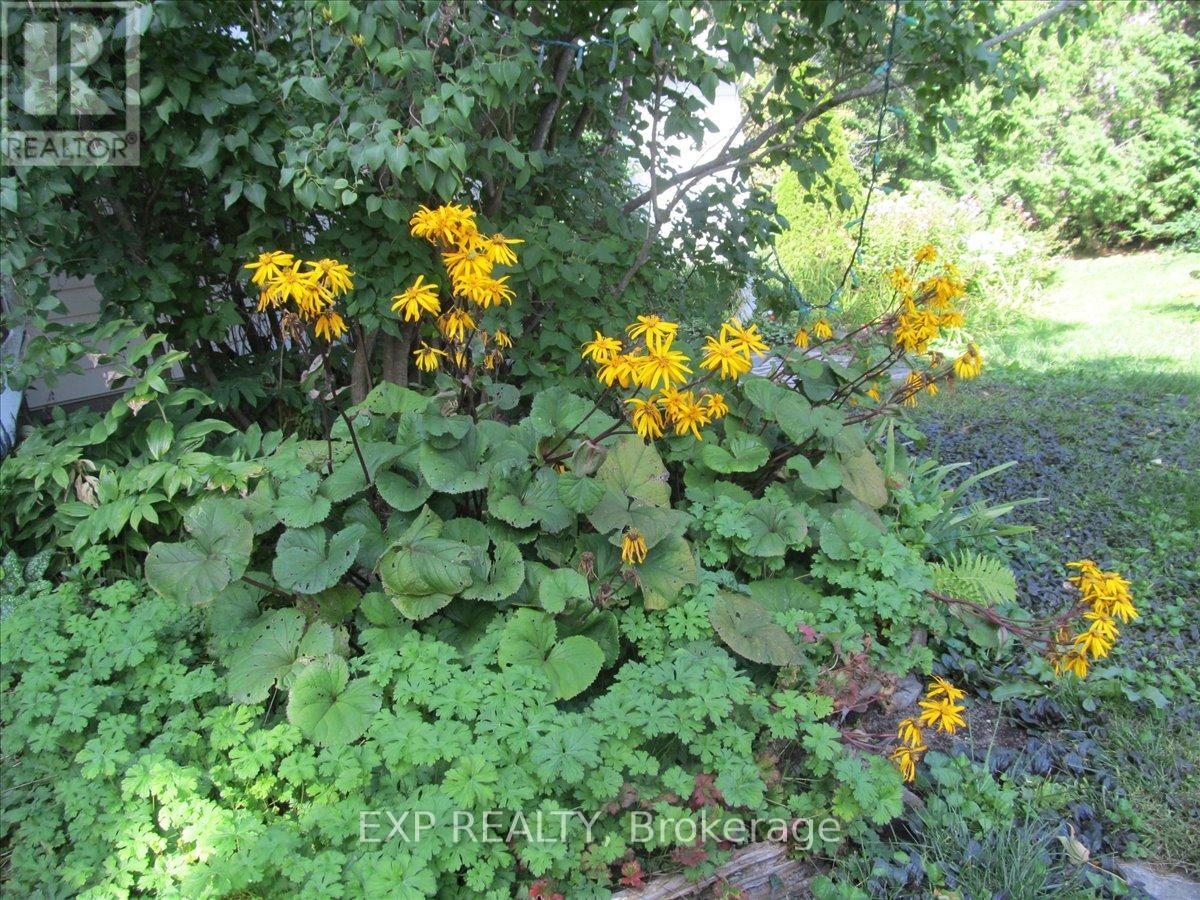 3749 Wallace Point Road, Otonabee-South Monaghan, Ontario  K9J 6Y3 - Photo 39 - X13056164