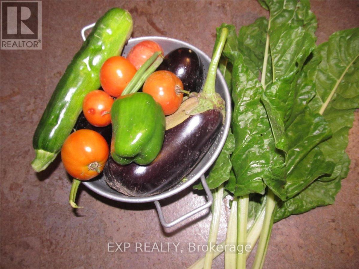 3749 Wallace Point Road, Otonabee-South Monaghan, Ontario  K9J 6Y3 - Photo 40 - X13056164