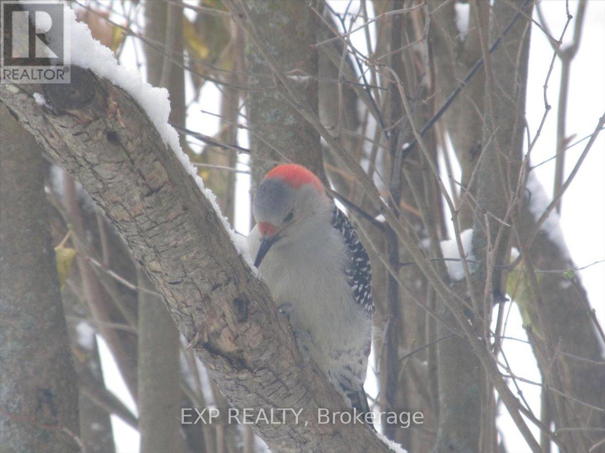 3749 Wallace Point Road, Otonabee-South Monaghan, Ontario  K9J 6Y3 - Photo 42 - X13056164