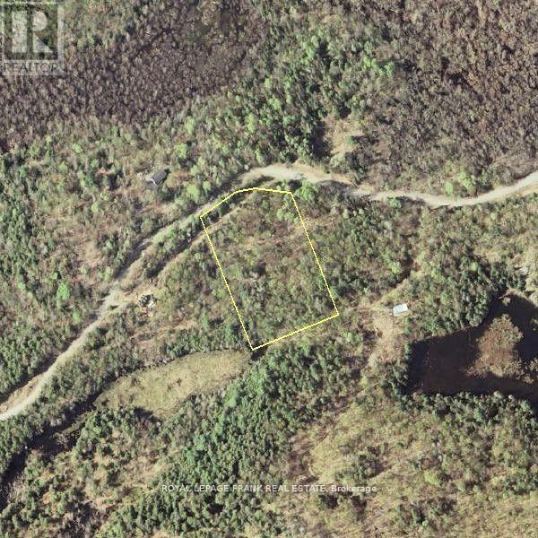 843 Lasswade Road, North Kawartha, Ontario  K0L 1A0 - Photo 20 - X13056374