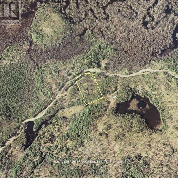 843 Lasswade Road, North Kawartha, Ontario  K0L 1A0 - Photo 21 - X13056374