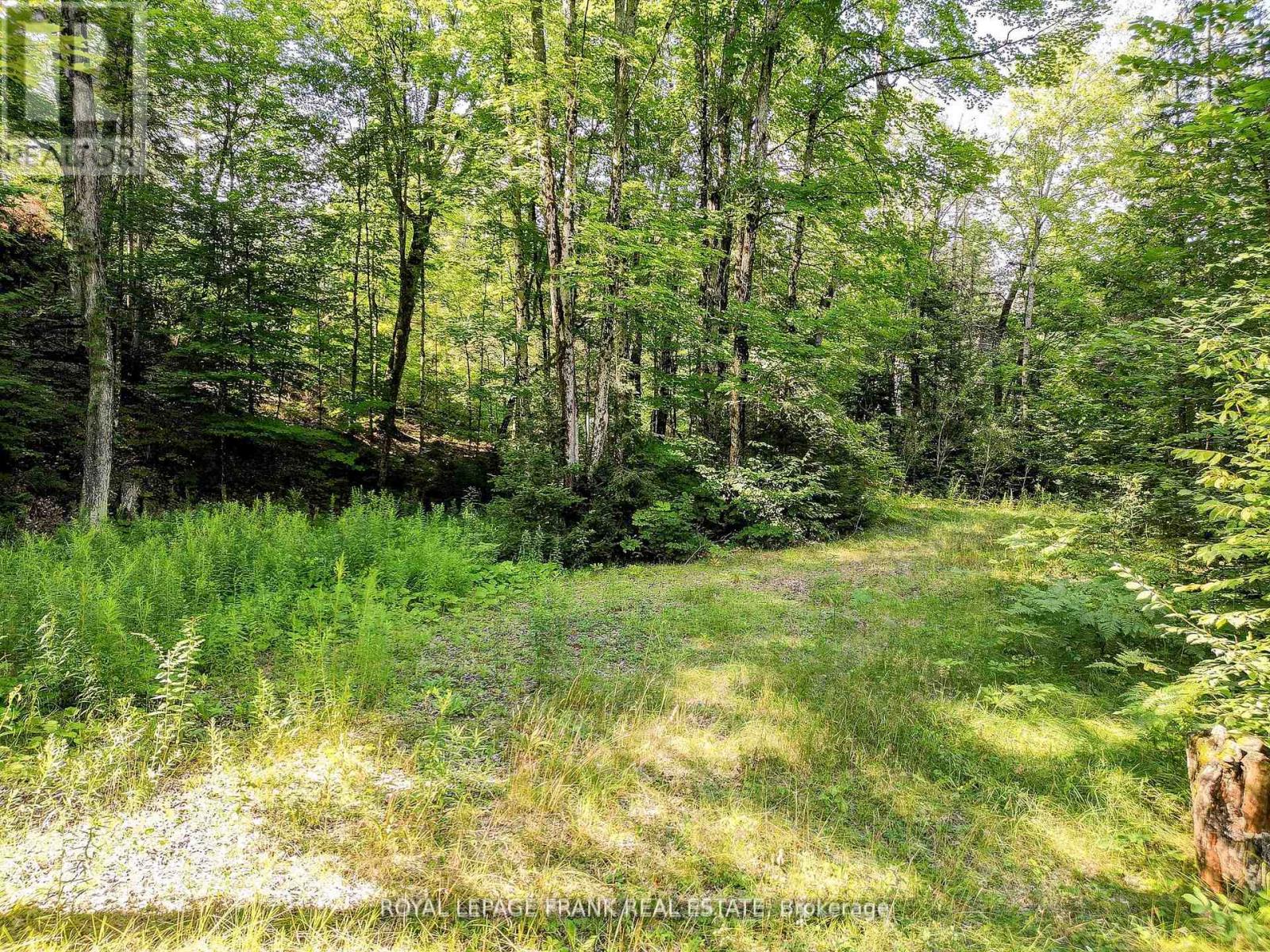 843 Lasswade Road, North Kawartha, Ontario  K0L 1A0 - Photo 8 - X13056374