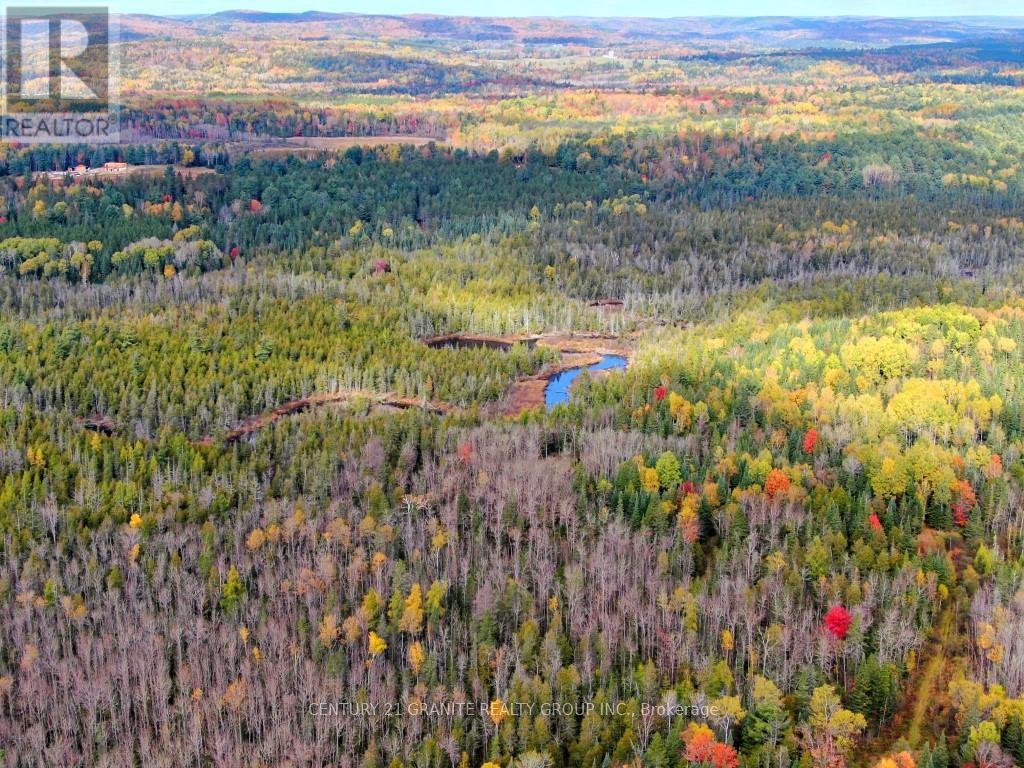 649 Detlor Road, Bancroft (Dungannon Ward), Ontario  K0L 2L0 - Photo 15 - X13057746