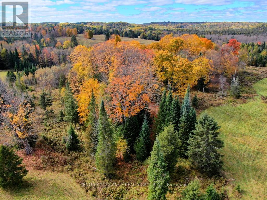 649 Detlor Road, Bancroft (Dungannon Ward), Ontario  K0L 2L0 - Photo 17 - X13057746