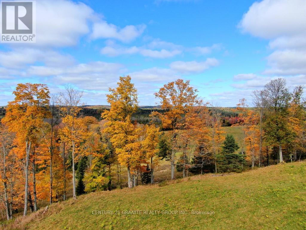 649 Detlor Road, Bancroft (Dungannon Ward), Ontario  K0L 2L0 - Photo 19 - X13057746