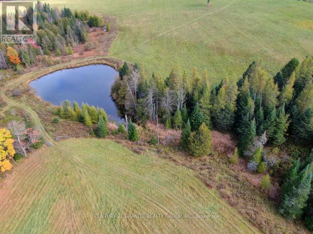 649 Detlor Road, Bancroft (Dungannon Ward), Ontario  K0L 2L0 - Photo 7 - X13057746