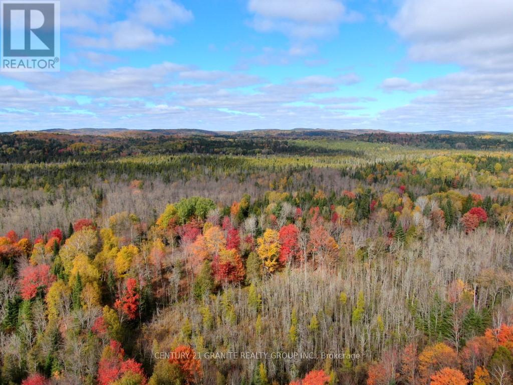 649 Detlor Road, Bancroft (Dungannon Ward), Ontario  K0L 2L0 - Photo 9 - X13057746