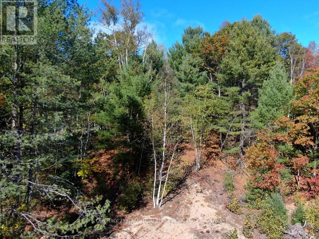 26457 Hwy 62 Highway, Bancroft (Dungannon Ward), Ontario  K0L 1C0 - Photo 13 - X13057860