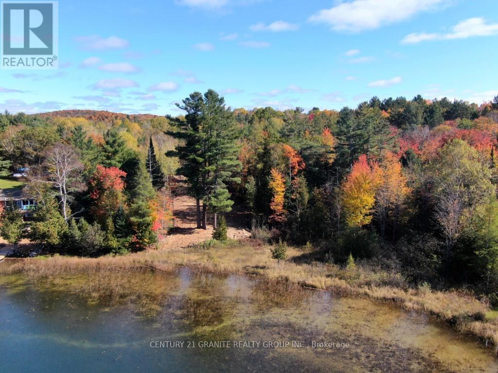 26457 Hwy 62 Highway, Bancroft (Dungannon Ward), Ontario  K0L 1C0 - Photo 18 - X13057860