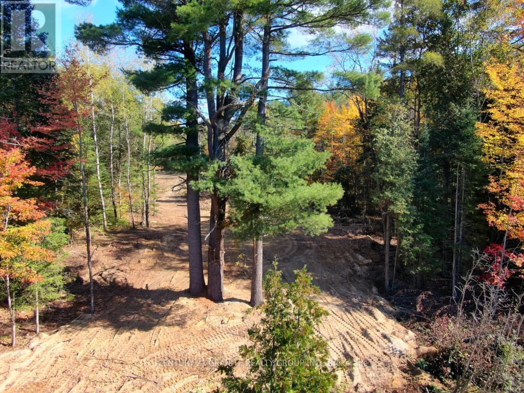 26457 Hwy 62 Highway, Bancroft (Dungannon Ward), Ontario  K0L 1C0 - Photo 19 - X13057860