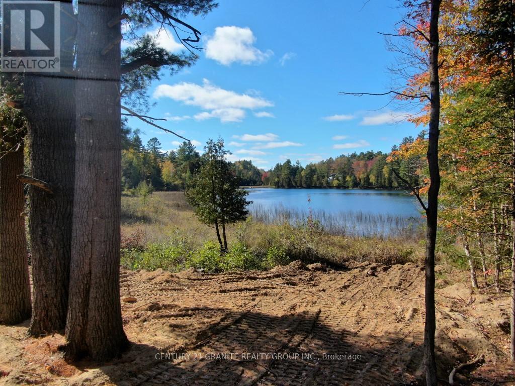 26457 Hwy 62 Highway, Bancroft (Dungannon Ward), Ontario  K0L 1C0 - Photo 20 - X13057860