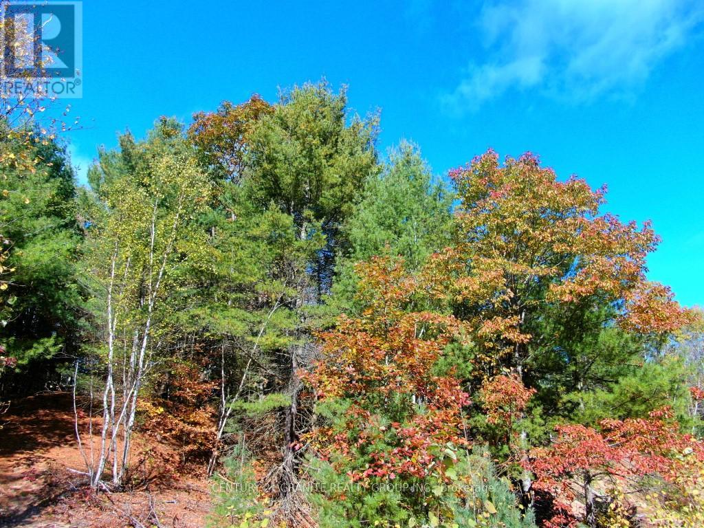 26457 Hwy 62 Highway, Bancroft (Dungannon Ward), Ontario  K0L 1C0 - Photo 25 - X13057860