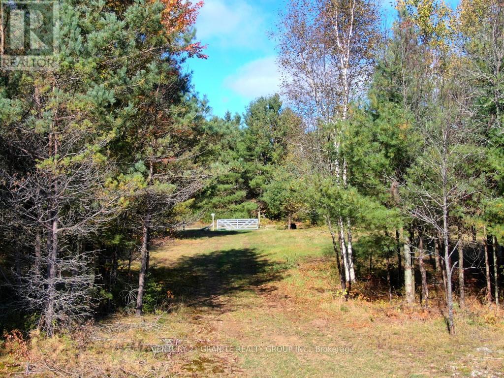 26457 Hwy 62 Highway, Bancroft (Dungannon Ward), Ontario  K0L 1C0 - Photo 28 - X13057860