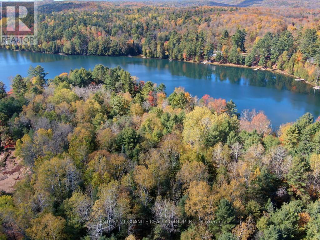 26457 Hwy 62 Highway, Bancroft (Dungannon Ward), Ontario  K0L 1C0 - Photo 3 - X13057860