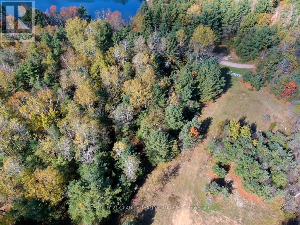 26457 Hwy 62 Highway, Bancroft (Dungannon Ward), Ontario  K0L 1C0 - Photo 4 - X13057860