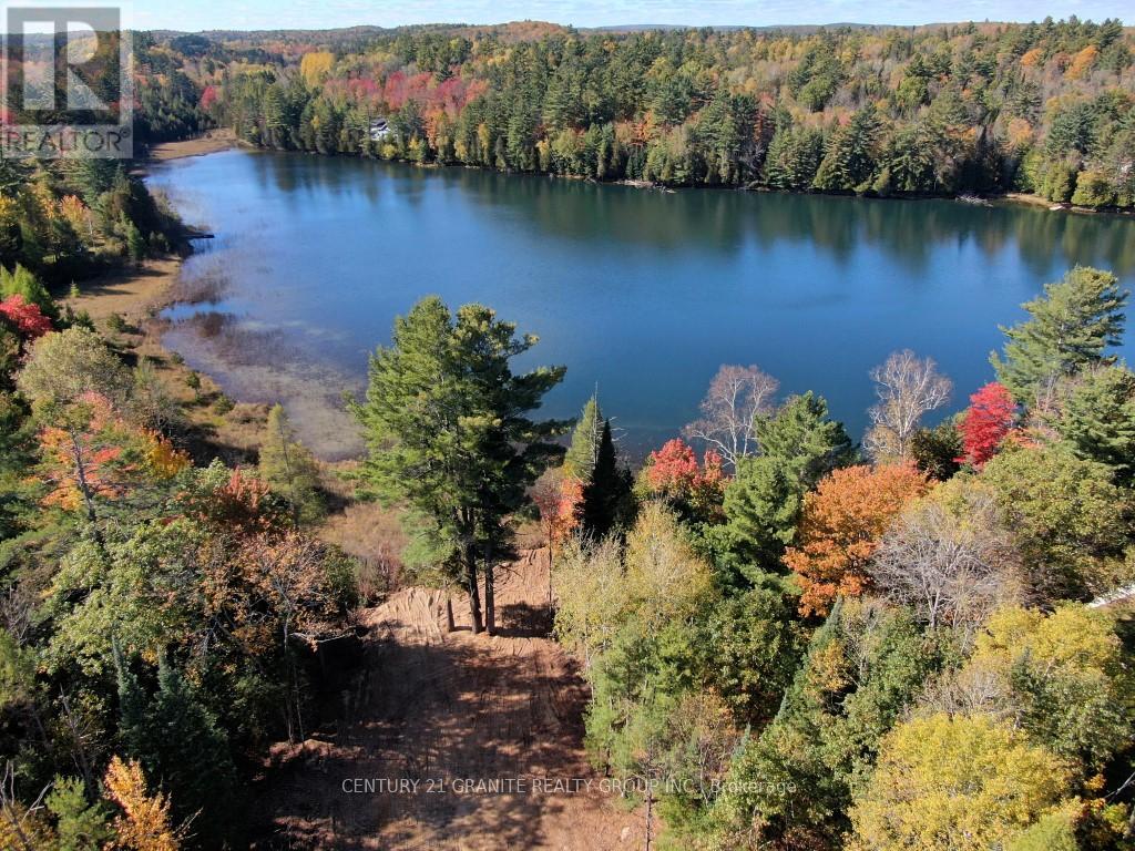 26457 Hwy 62 Highway, Bancroft (Dungannon Ward), Ontario  K0L 1C0 - Photo 6 - X13057860