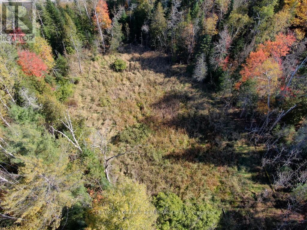 26457 Hwy 62 Highway, Bancroft (Dungannon Ward), Ontario  K0L 1C0 - Photo 8 - X13057860