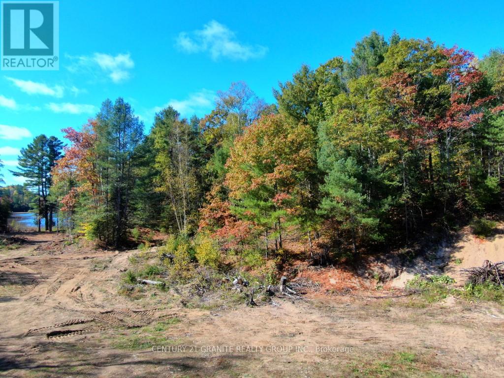 26457 Hwy 62 Highway, Bancroft (Dungannon Ward), Ontario  K0L 1C0 - Photo 9 - X13057860