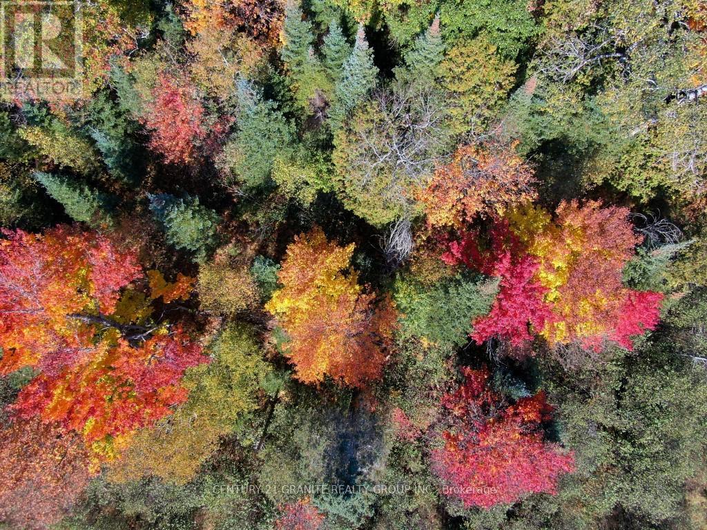 Con Ehr Pt Lot 25 M-25 Lot 4, Bancroft (Dungannon Ward), Ontario  K0L 1C0 - Photo 14 - X13058054