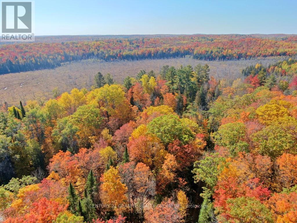 Con Ehr Pt Lot 25 M-25 Lot 4, Bancroft (Dungannon Ward), Ontario  K0L 1C0 - Photo 4 - X13058054