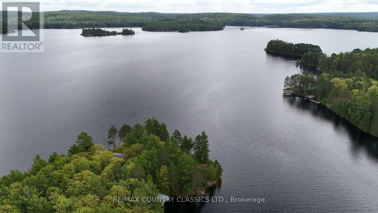 910 Weslemkoon Lake, Addington Highlands (Addington Highlands), Ontario  K0L 2M0 - Photo 8 - X13058162