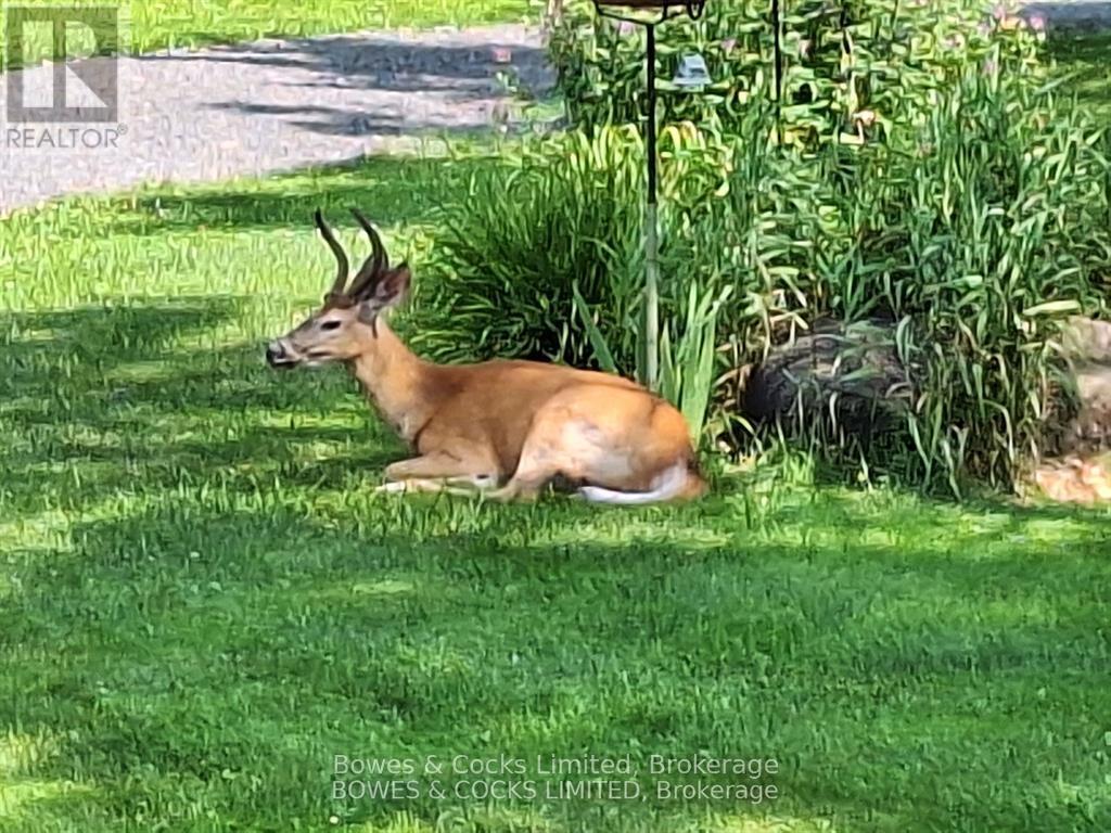 72 Jones Road, Wollaston, Ontario  K0L 1P0 - Photo 30 - X13062036