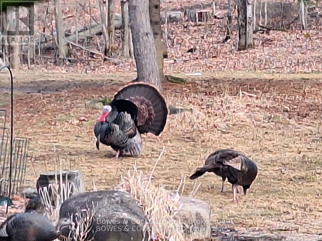 72 Jones Road, Wollaston, Ontario  K0L 1P0 - Photo 31 - X13062036