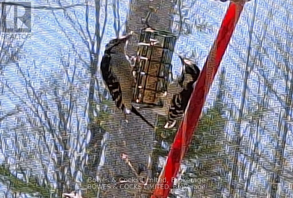 72 Jones Road, Wollaston, Ontario  K0L 1P0 - Photo 32 - X13062036