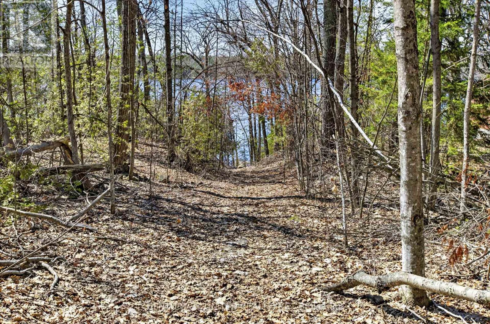 15 Oak Terrace Road, Trent Lakes, Ontario  K0L 1J0 - Photo 40 - X13064374