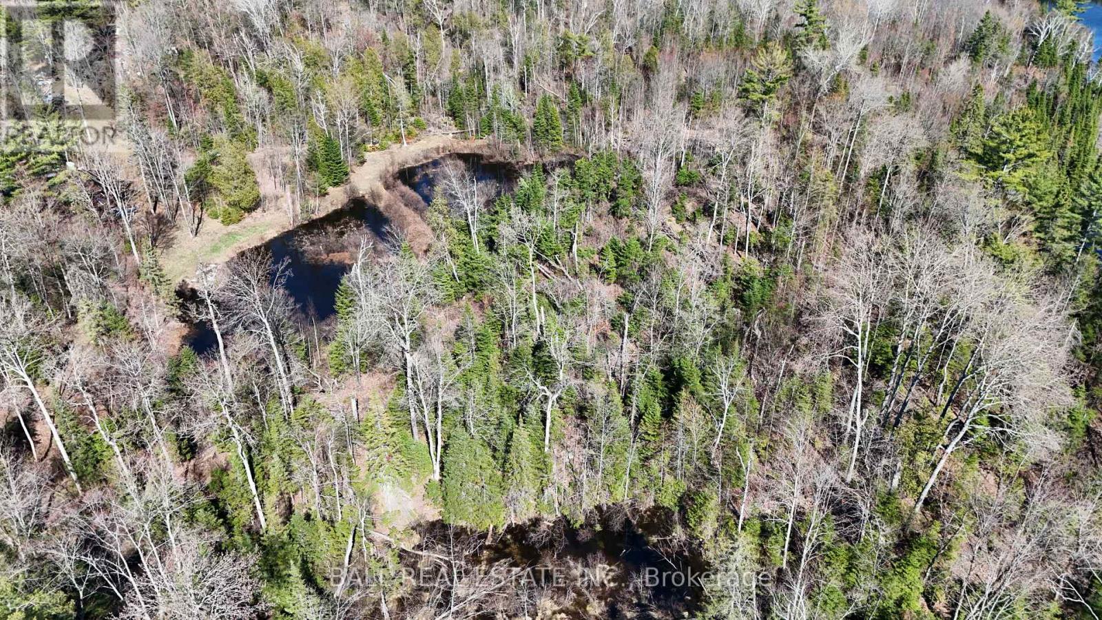 0 Old Hastings Road, Limerick, Ontario  K0L 1P0 - Photo 5 - X13064712