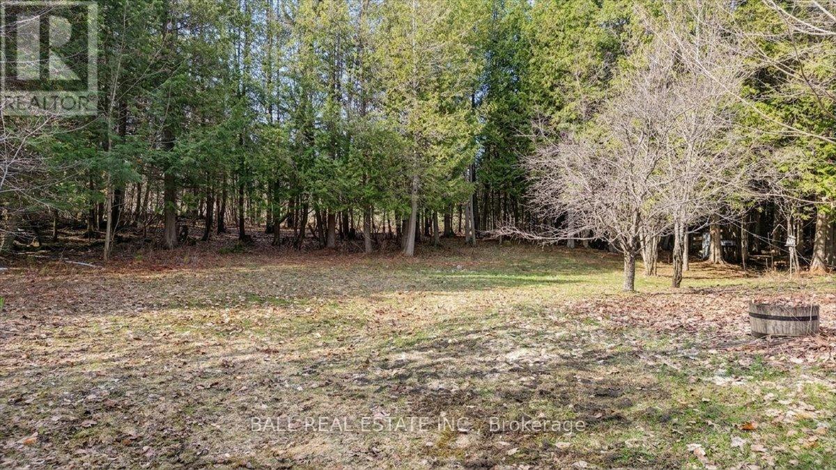 1893 Clydesdale Road, North Kawartha, Ontario  K0L 1A0 - Photo 35 - X13065184