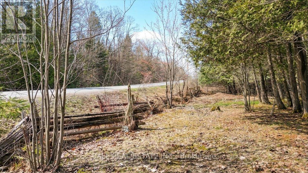 1893 Clydesdale Road, North Kawartha, Ontario  K0L 1A0 - Photo 37 - X13065184