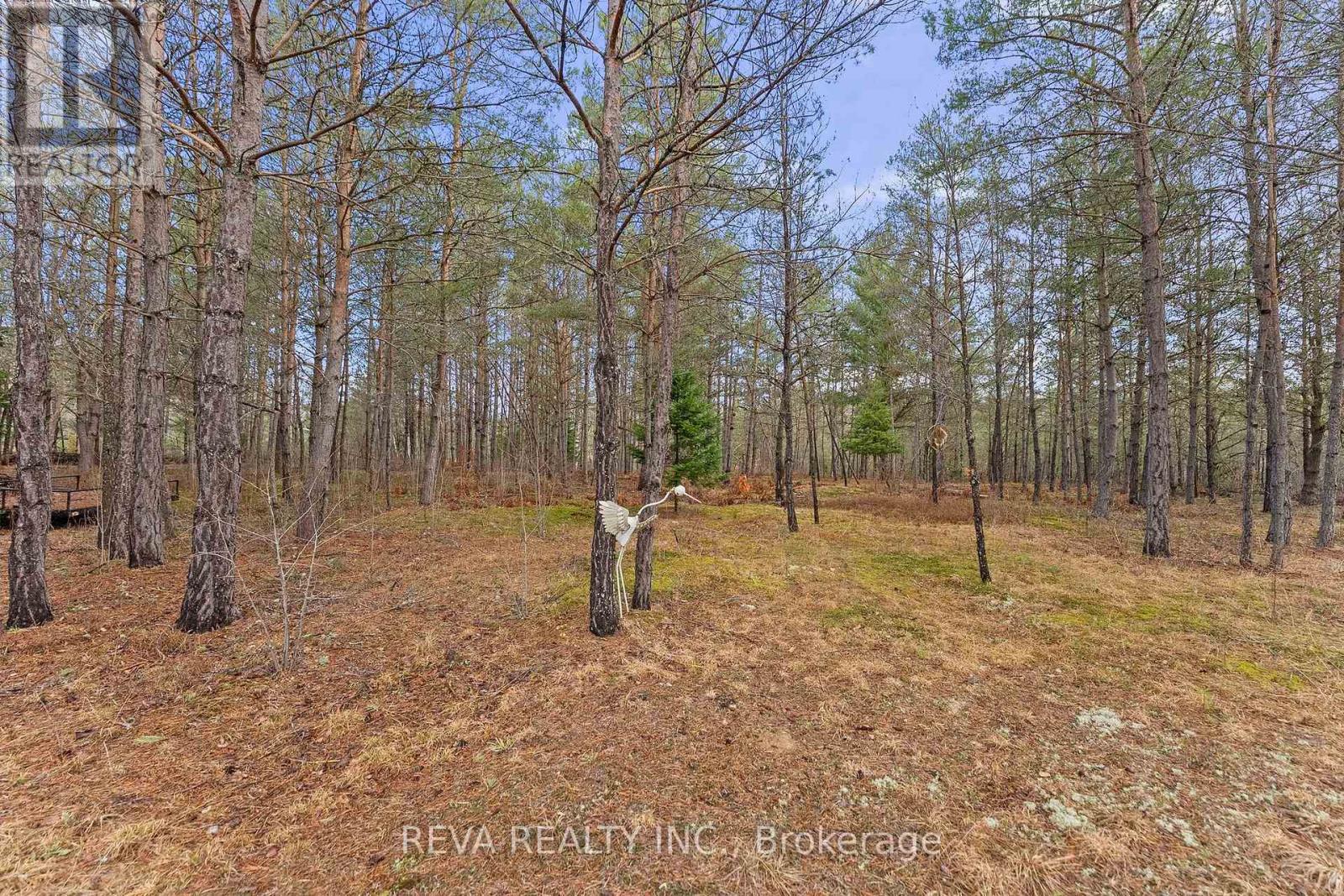 15 Center Road, Hastings Highlands (Mcclure Ward), Ontario  K0L 2K0 - Photo 20 - X13067496