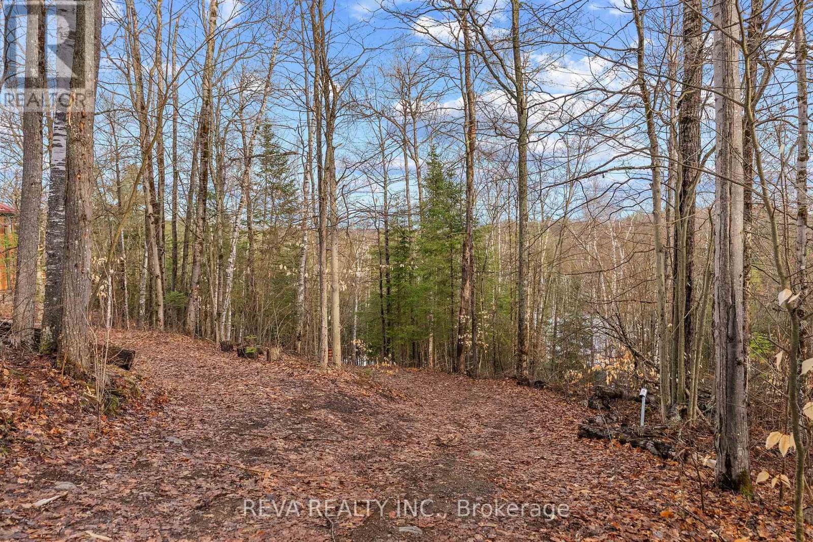 115 West Mullet Lake Drive, Faraday, Ontario  K0L 1C0 - Photo 18 - X13067816