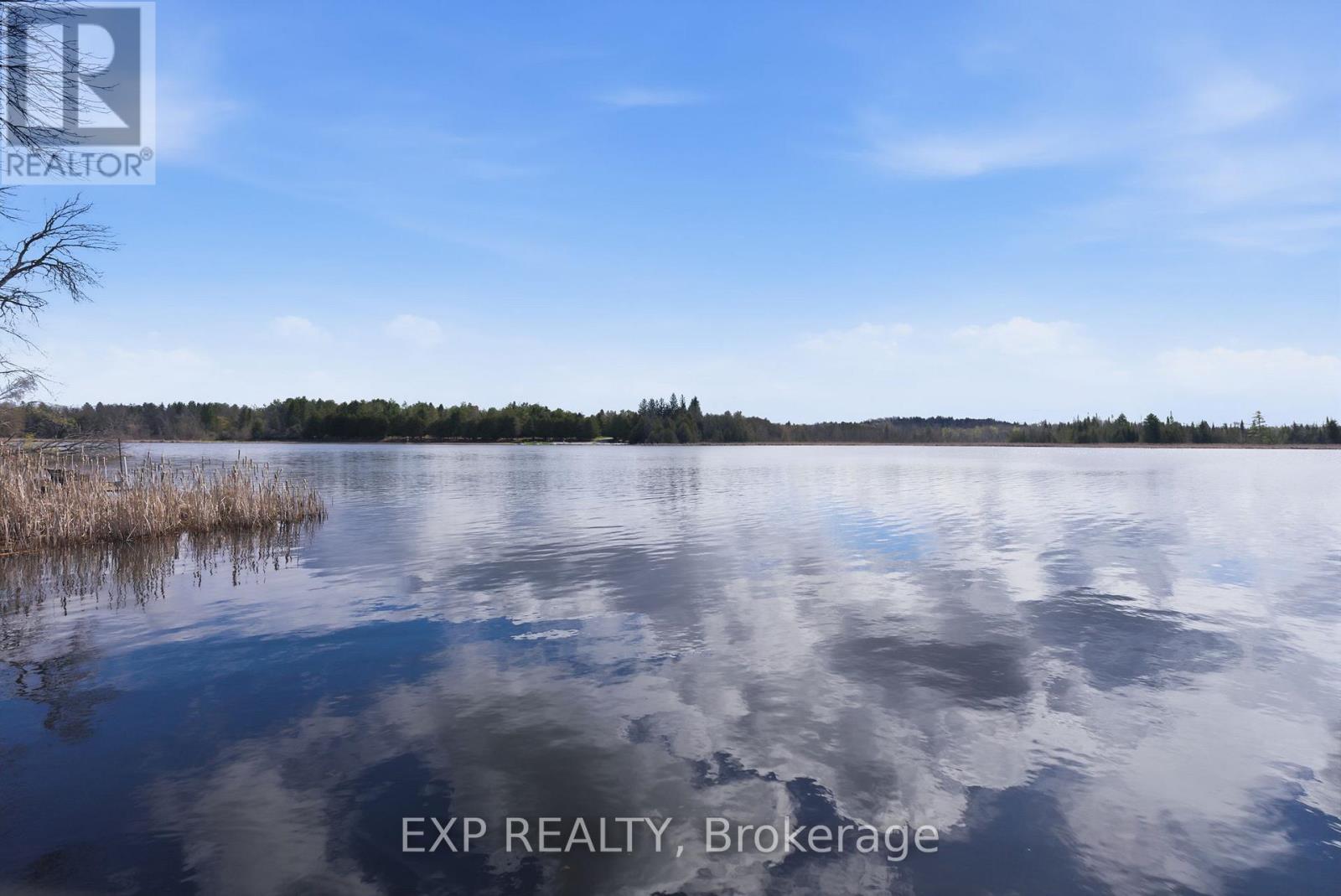 38 Cowans Crescent, Kawartha Lakes (Emily), Ontario  K0L 2W0 - Photo 33 - X13068926