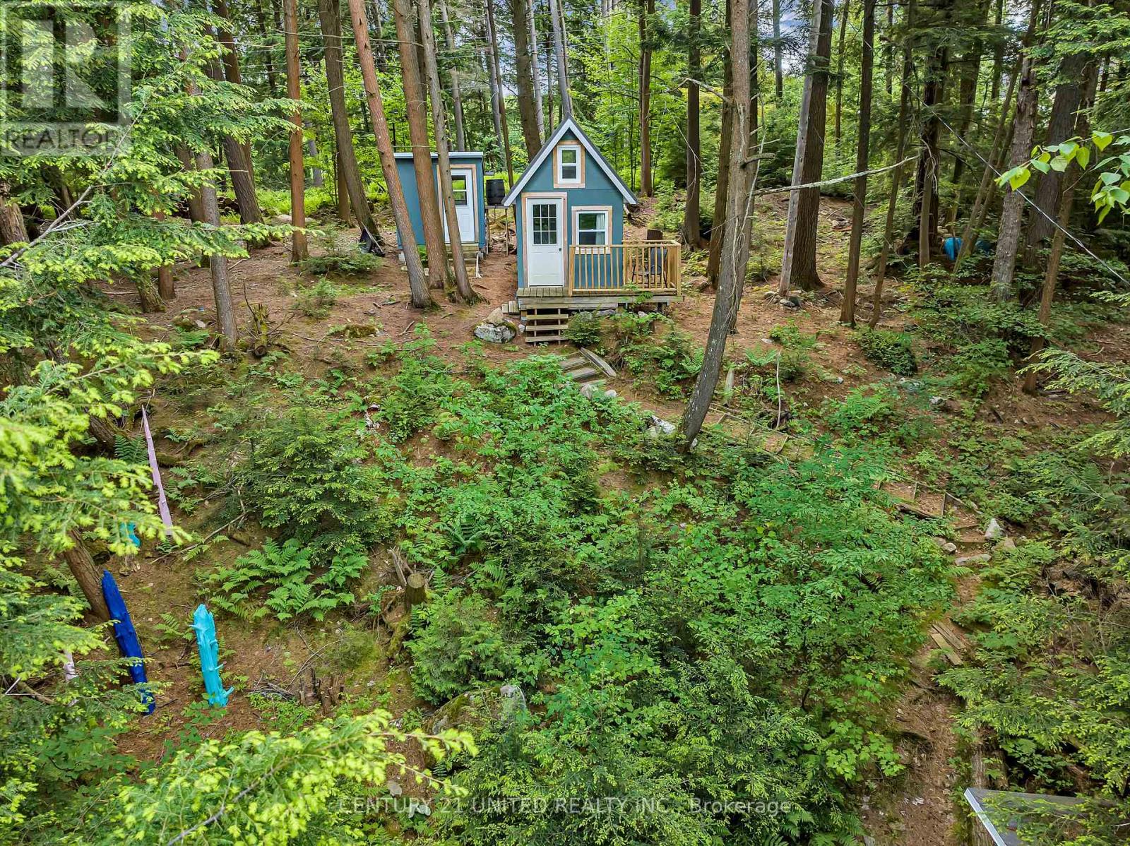 852 Isl 8 Catchacoma Lake Island, Trent Lakes, Ontario  K0L 1J0 - Photo 24 - X13073718