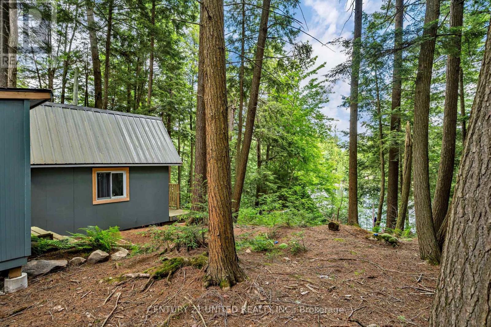 852 Isl 8 Catchacoma Lake Island, Trent Lakes, Ontario  K0L 1J0 - Photo 31 - X13073718