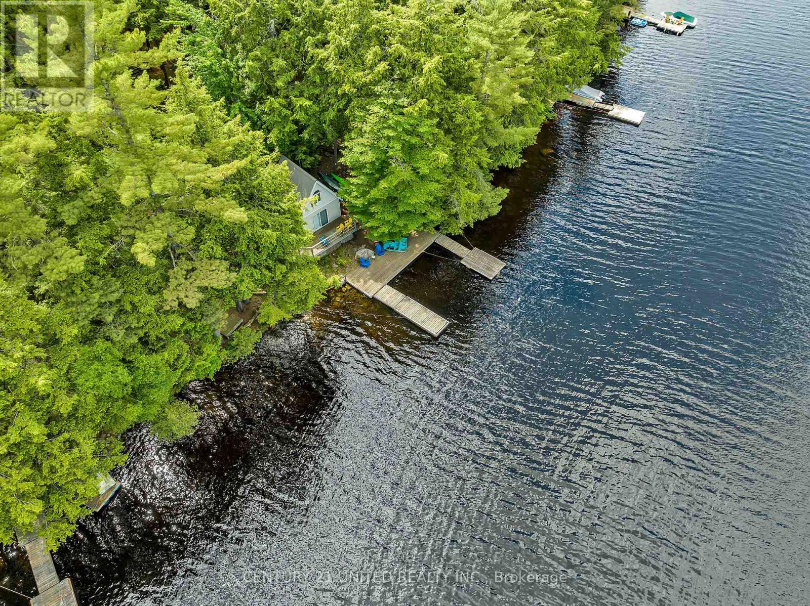 852 Isl 8 Catchacoma Lake Island, Trent Lakes, Ontario  K0L 1J0 - Photo 5 - X13073718