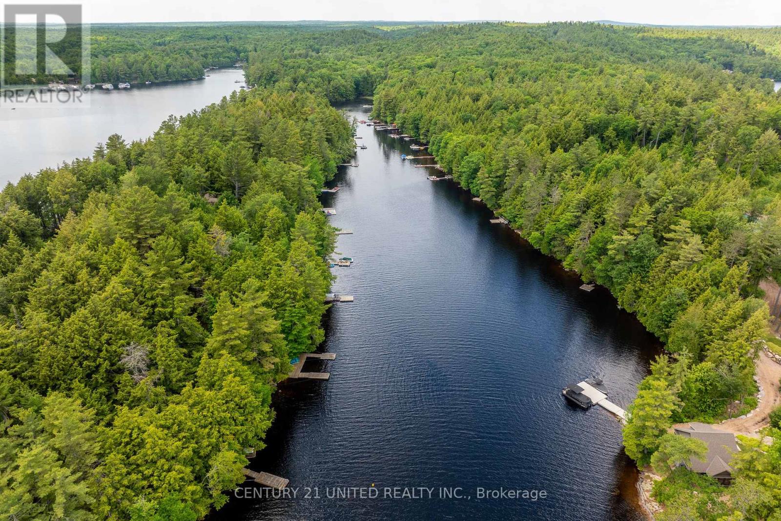 852 Isl 8 Catchacoma Lake Island, Trent Lakes, Ontario  K0L 1J0 - Photo 8 - X13073718